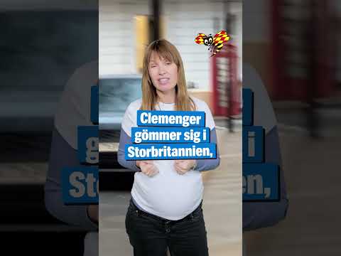 TV4-profilen Dermot Clemenger måste hittas i dag – annars går han fri