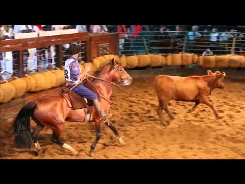 1º lugar/fêmeas: Hija de La Margarida Da Matarazzo