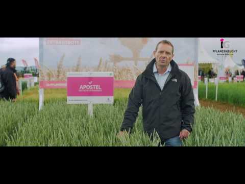 APOSTEL - Züchterbericht