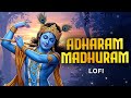 अधरं मधुरं Adharam Madhuram Lofi Krishna Bhajan Krishna Song Bhakti Song Madhurash