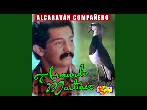 Traigo Polvo del Camino