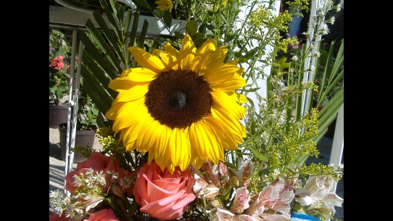 Vídeo de la empresa MILAGROS FERNANDEZ