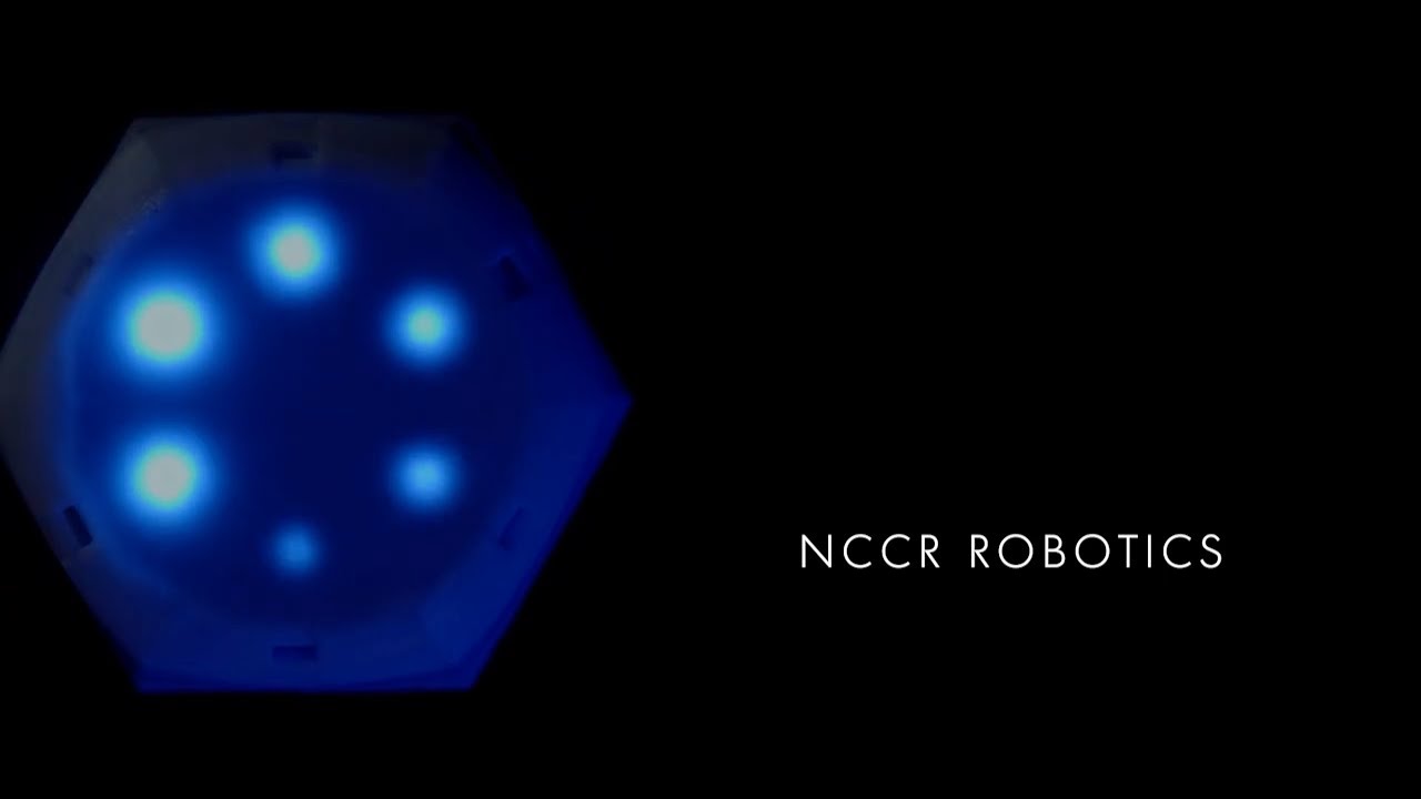 NCCR Robotics: A documentary