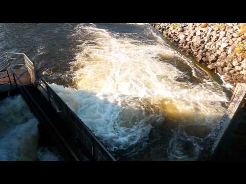 Ett besök till fällan vid Kungsådran i Älvkarleby