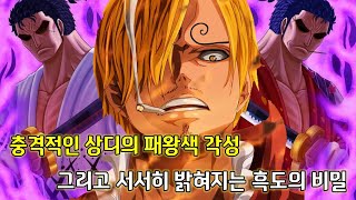 [원피스분석]충격적인 상디의 패왕색 각성 그리고 서서히 밝혀지는 흑도의 비밀