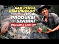 How To Produce Quality Tilapia Broodstock On A Home Scale