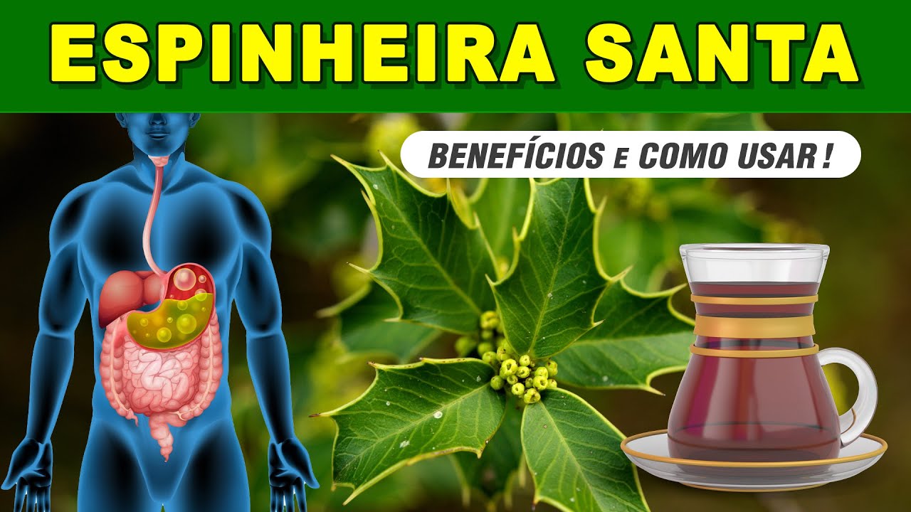Benefícios do CHÁ DE ESPINHEIRA SANTA - Como Fazer e Tomar! (Azia, Má Digestão, Desinchar,...)