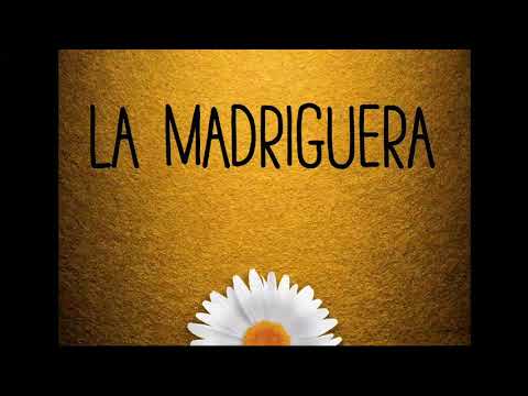 La Madriguera | Un refugio en cuarentena — Ep. 1