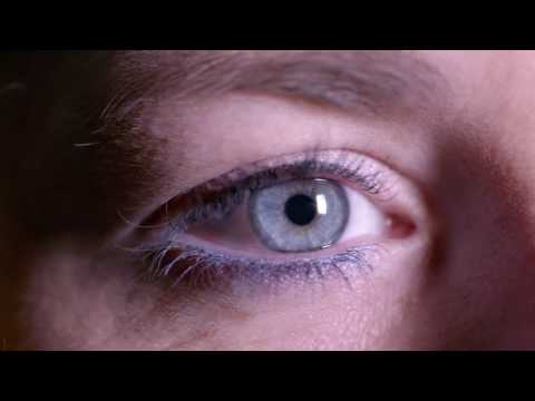 Venoavend carvanal 2017 pollux leurs eva