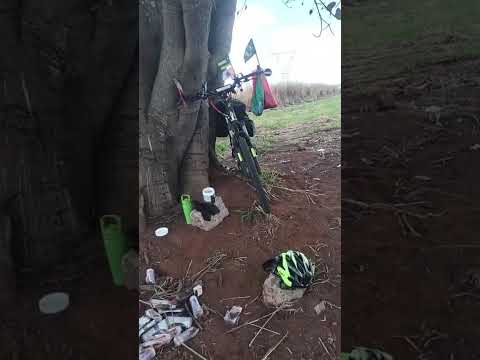 indo de Sumaré SP para tucumã para