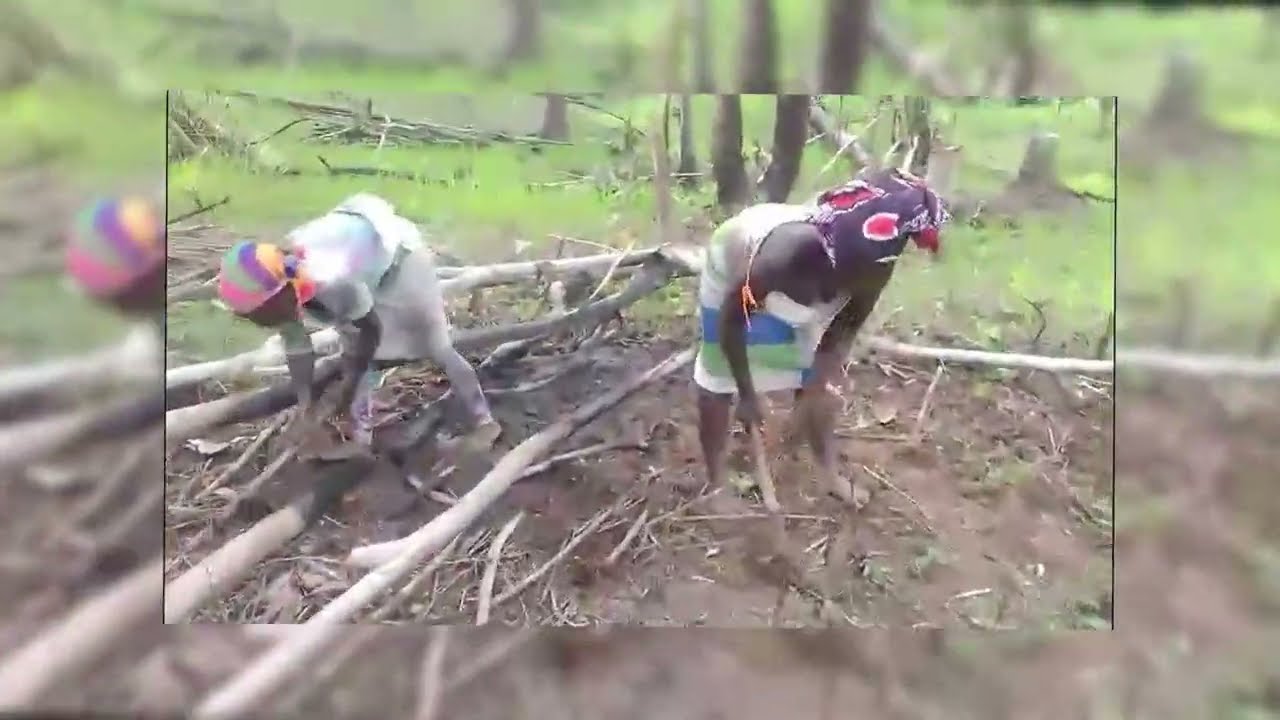 Touring the Rice Farm in Gorla Bong County - Liberia 2023