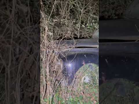 Thumbnail for Barn find : urbex nocturne pour bientôt ! #urbex #peugeot #barnfind by Peugeot