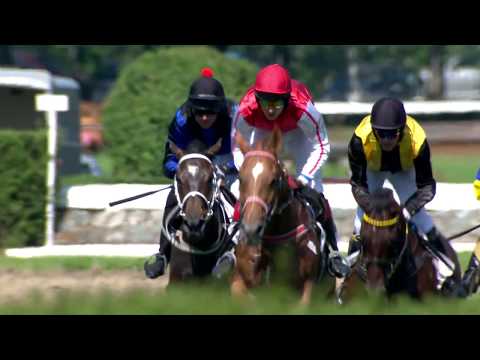 PE, 4. 7. 2020, 5. dostih - Cena TIPSPORTU