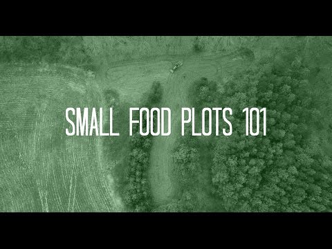 Food Plots 101 | Small Food Plots