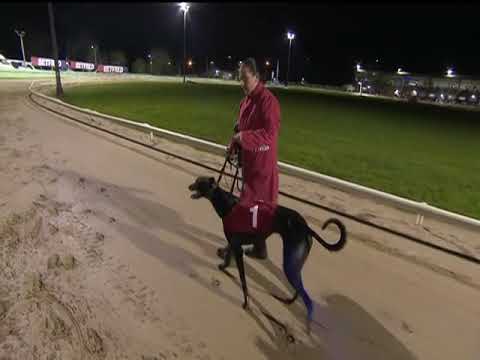 2017 BETFRED STANDARD - T1 DROOPYS BUICK