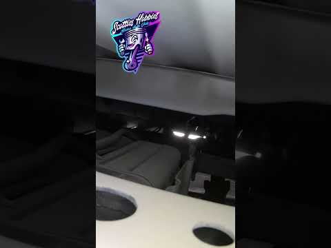 Dodge Ram Fuel Vapor Canister Location and Info. 2009 - 2020. V6, V8, Including RAM HEMI.