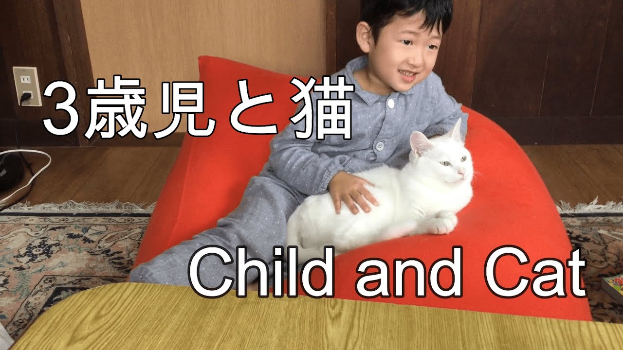 3歳児と猫 Child and Cat ～ていちゃんとトト・TEI-chan & TOTO～