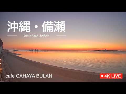 沖縄の海（本島）のライブカメラ映像
