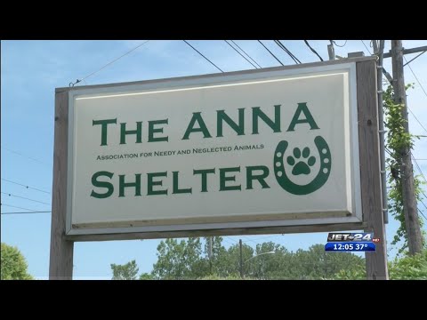ANNA Shelter update 1/5/2020