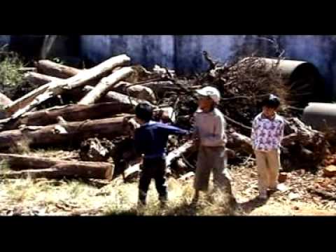 VOROMAHERY Korazy zandry