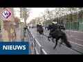 Ongeregeldheden rond intocht Sinterklaas leiden tot onrust in Haagse gemeenteraad.