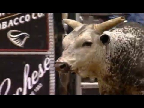 PBR GILBERT CARRILLO 96 On BLUEBERRY WINE