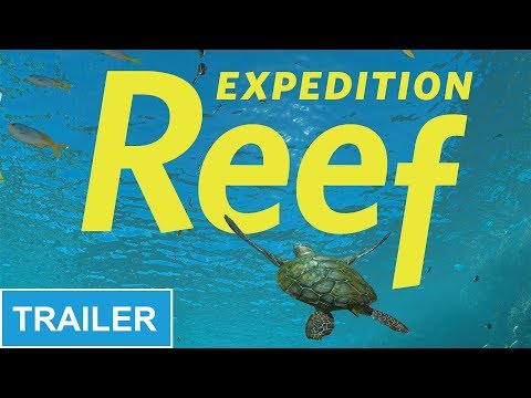 Expedition Reef trailer