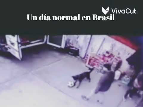 un día normal en Brasil
