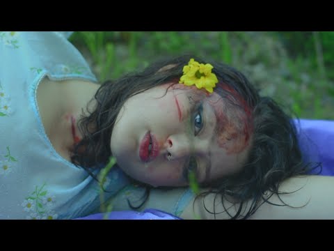 Natalie and the Monarchy - Daisies (Official Music Video)
