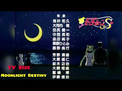 Sailor Moon - Moonlight Destiny - Misc Cartoons