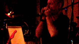 Adam Gussow - The Entertainer