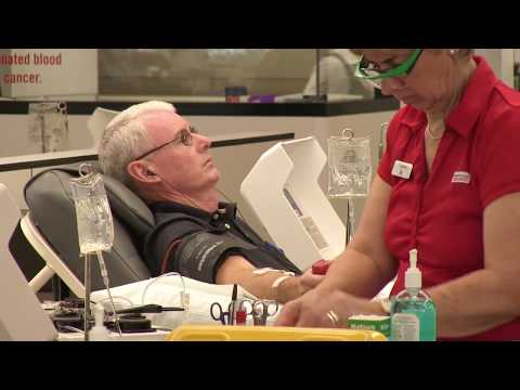 Explainer: what’s actually in our blood?