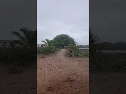 Chuva em Olivedos PB