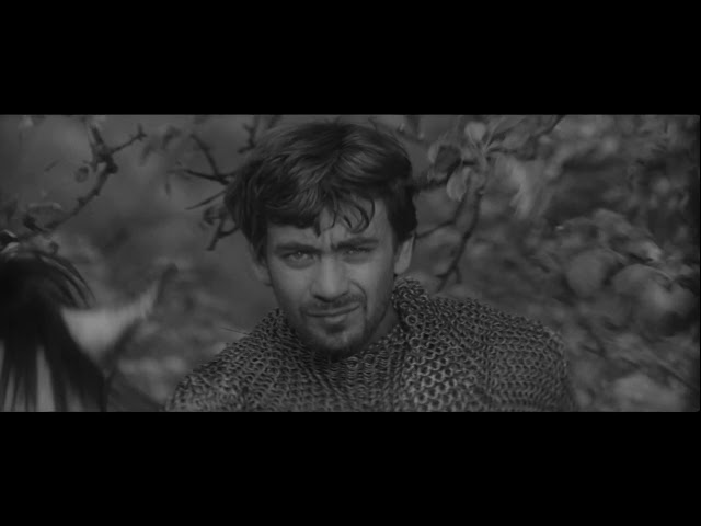 Údolí včel (9.6.2020 ve 20:00 na CS FILM)