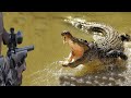 Hunting the most dangerous creeping Nile crocodile on earth