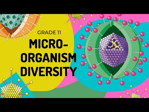 Mico-organism diversity | How to identify them