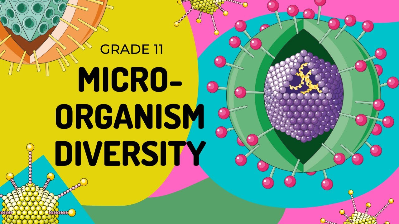 Mico-organism diversity | How to identify them