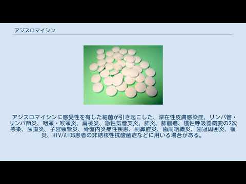猫にアジスロマイシンを与えてもいいですか?