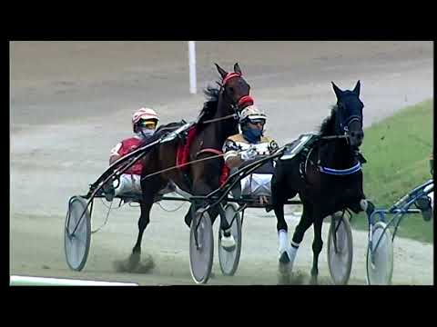 Napoli Trotto 05/06/2021 - 3ª corsa