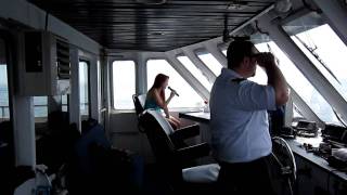 &quot;Ellis Island&quot; by Caoimhe Casey