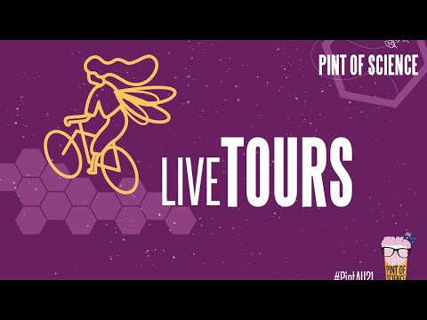 Space Science Lab with Dr Melrose Brown