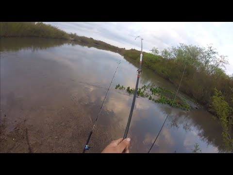 Pesca en Arroyo del Alférez- Rocha (Uruguay)