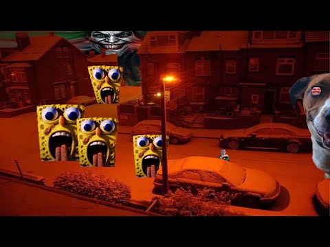 idiots laughing at instagram reels 26