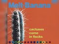 Melt-Banana - Cactuses Come In Flocks [ALBUM]