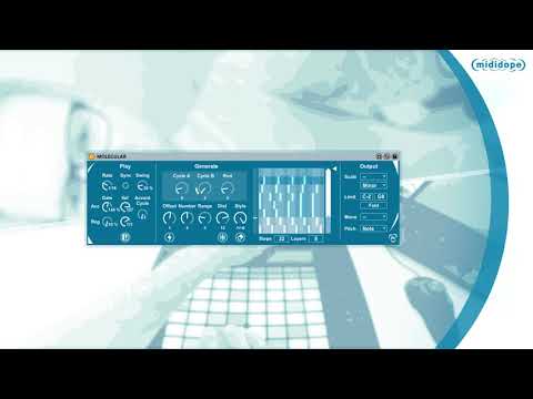 Ableton Push Session: Grain Scanner + Drum Rack + MOLECULAR Organic Arpeggiator (M4L)