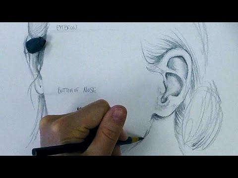 How to draw ears
