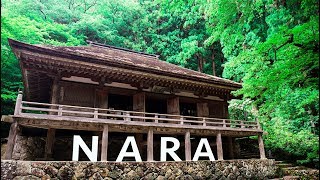 preview picture of video 'EXPLORER Nara Japan / CROP THE WORLD  / 7/June /2018'