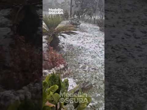 La granizada en Venecia Antioquia esta tarde que dejó árboles caídos, inundaciones y daños.