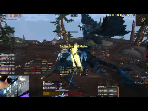 Battle of Dazar'alor - Holy Priest