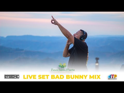 System ID - Live Set (Bad Bunny Session)